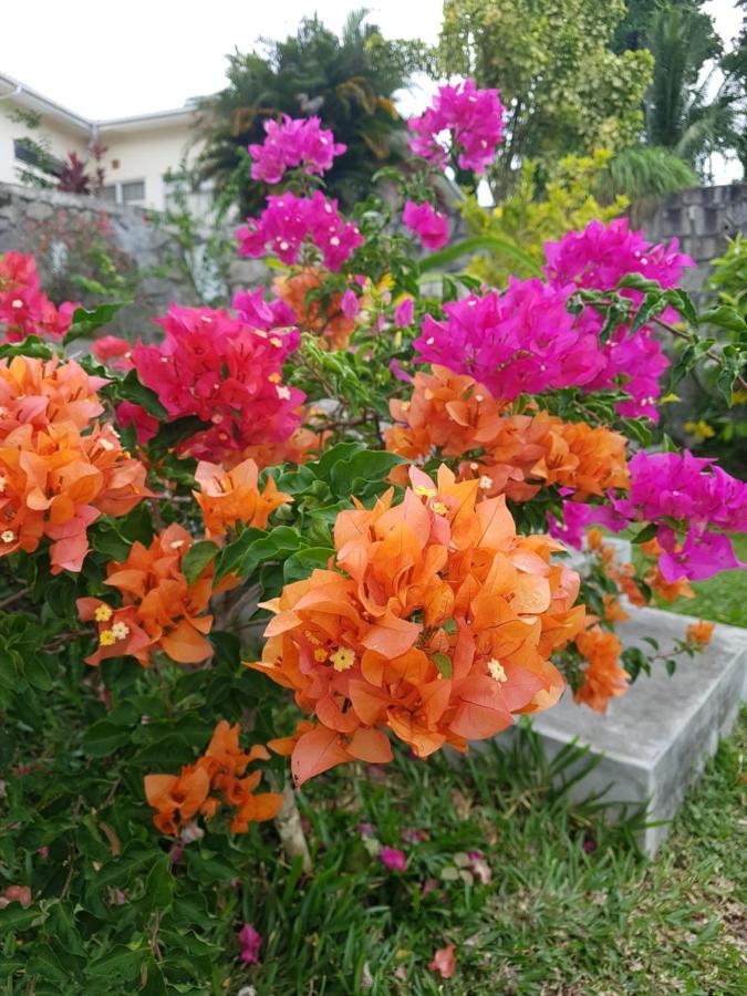 Ferienwohnung Rose Self Catering Beau Vallon  Exterior foto
