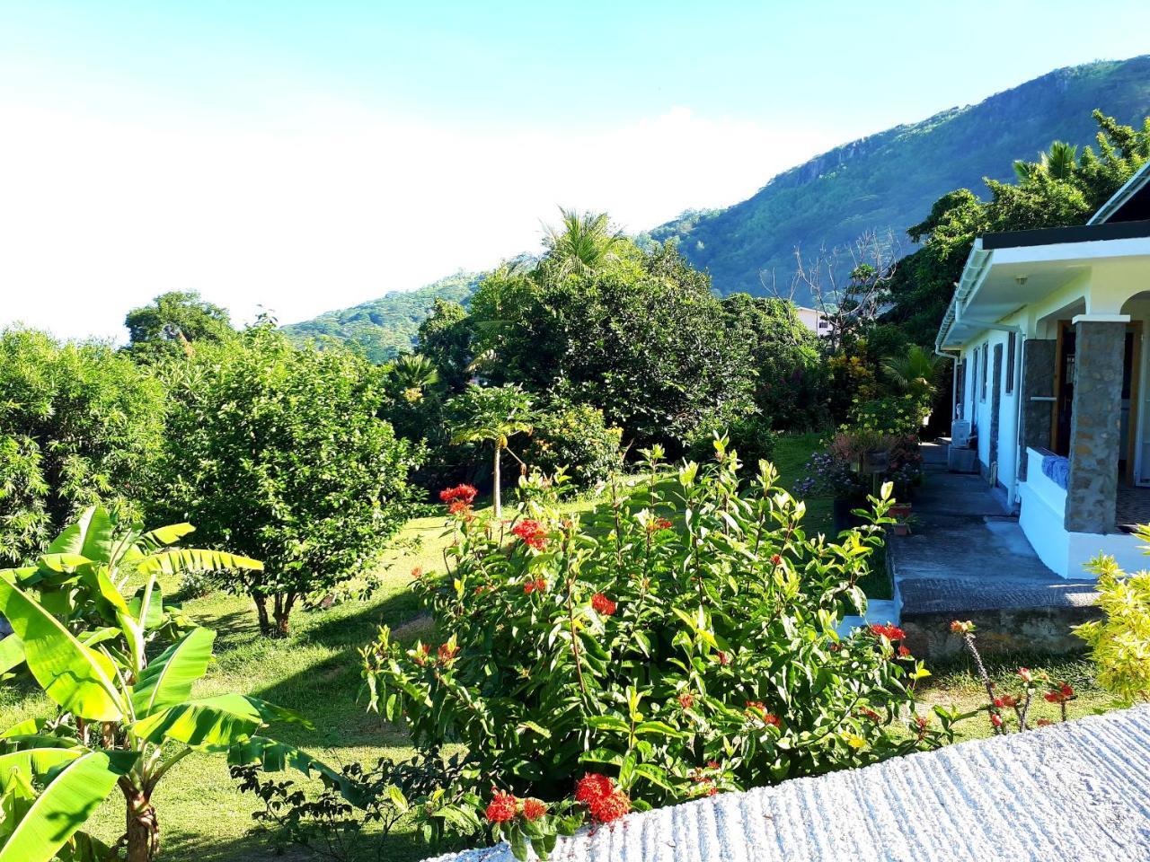 Ferienwohnung Rose Self Catering Beau Vallon  Exterior foto