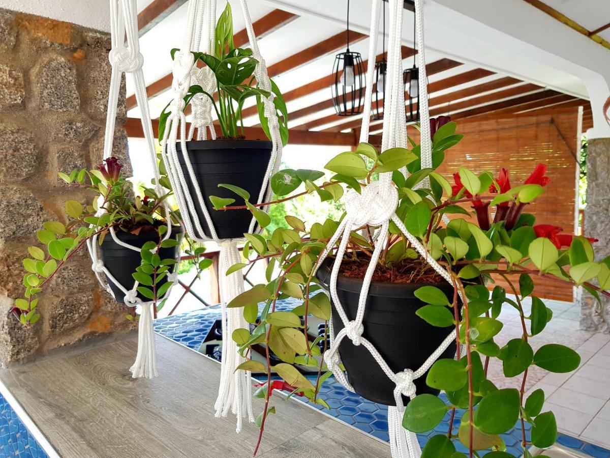 Ferienwohnung Rose Self Catering Beau Vallon  Exterior foto